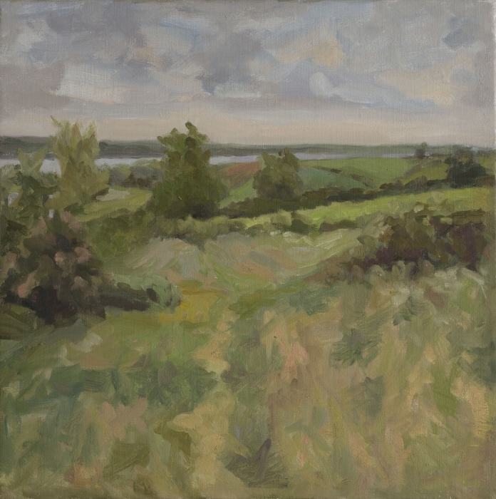 fields
